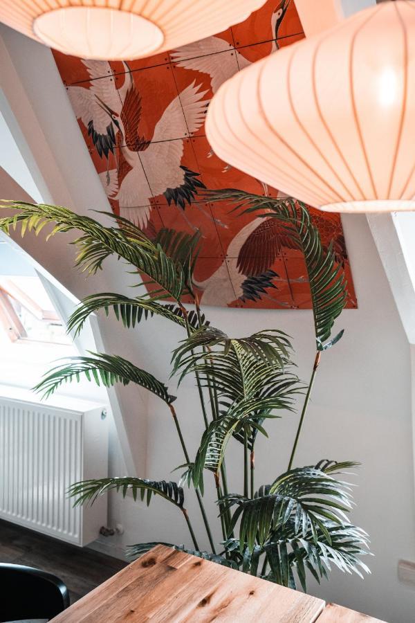 Casa Coral - A Hidden Gem For Families Lägenhet Groningen Exteriör bild